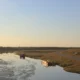 Râul Prut la Giurgiulești la apus, cu bărci ancorate lângă un drum de pe mal